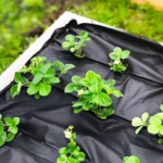 Агроволокно Garden Flora 80 г/м2 80 см х 50 м Чорне