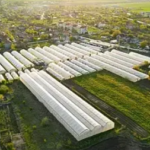 Плівка теплична Планета Пластик UV-10 сезонів 180 мкм 12х33 м Біла